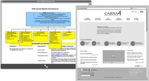 Carna4 website wireframe. Swerve Design Toronto