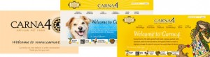 Carna4 website sketch. Designed by Swerve Design Toronto