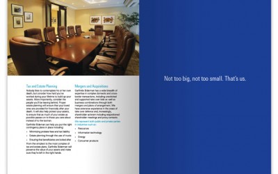 Law Firm Brochure Design