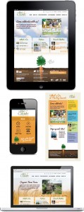 The Big Carrot website design