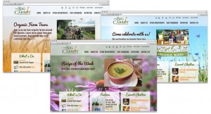 The big carrot home pages