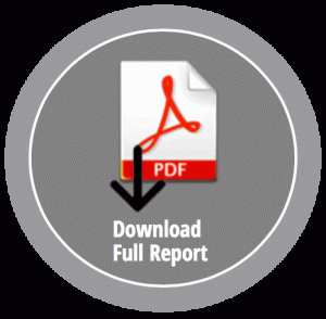 OGI Annual Report PDF download