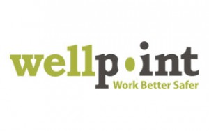 Wellpoint - Branding and Logo Design by Swerve Design