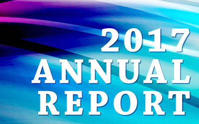 DICO 2017 Annual Report