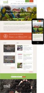 Nonprofit Website Design