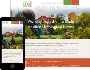 Association website design