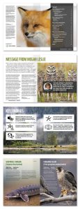 WWF LPRC inside page designs