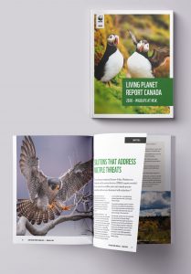 WWF LPRC report design