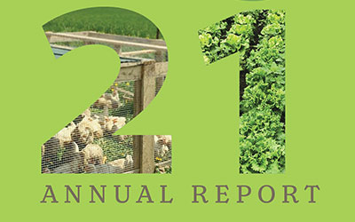 Annual Report Design for Association