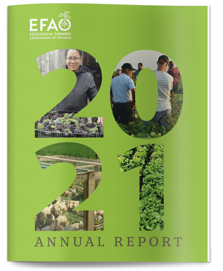 Cover design of EFAO's 2021 annual report