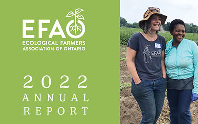 EFAO’s 2022 Annual Report Design